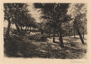 树下的羊群，1891年。 作者 马克斯·利伯曼