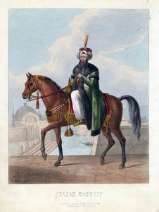 奥斯曼帝国苏丹马哈茂德二世(1785-1839)(Mahmoud II)的肖像 - Oeuvre de M. Gauci（活跃于19世纪） - 1829年 - 彩色石版画 - 26x20 - 私人收藏
