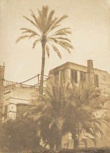 1849年12月至1850年1月，凯尔市法郎区的枣树和房屋。 作者 马克西姆·杜营