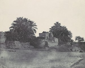 努比亚。菲罗，1850年。 作者 马克西姆·杜营