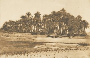 阿斯旺对面的象鼻岛景观，1849-50年。 作者 马克西姆·杜营