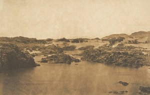 1850年3月，从第二条白内障处拍摄的风景。