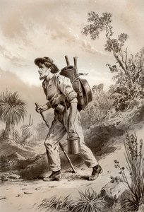 流浪中的挖掘机，澳大利亚，1879年。