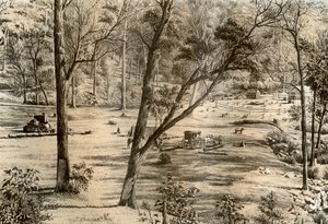自由选择者的小屋，澳大利亚，1879年