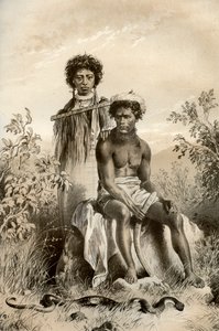 毛利人和地毯蛇，新西兰，1879年