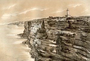南头，杰克逊港，1879年