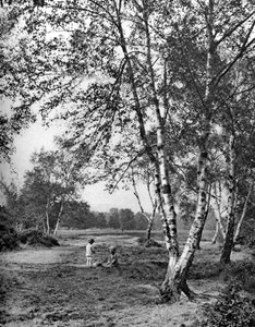普特尼·希思（Putney Heath），伦敦，1926-1927年