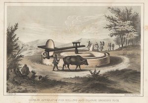 中国脱壳粗磨米器，1855 作者 梅菲特