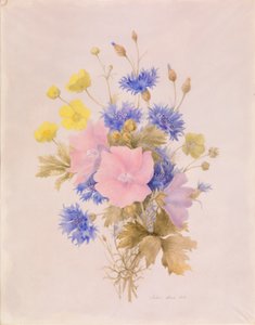 田野鲜花 作者 梅兰妮马克
