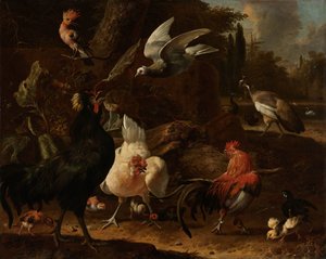 公园里的鸟儿 作者 Melchior d'Hondecoeter