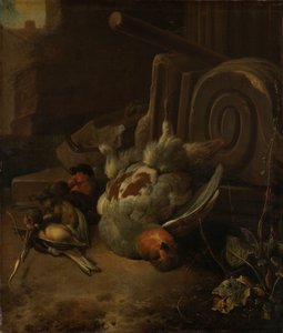 死鸟 作者 Melchior d'Hondecoeter