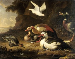 鸭子 作者 Melchior d'Hondecoeter