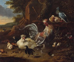 院子里的公鸡、母鸡和其他家禽 作者 Melchior d'Hondecoeter