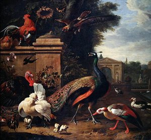 公园里的孔雀、老鹰和各种家禽和鸭子（布面油画） 作者 Melchior de Hondecoeter