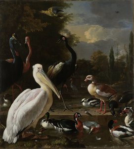 游泳池附近的鹈鹕和其他鸟类，被称为“飘浮的羽毛”，c.1680