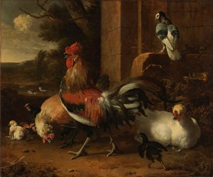 禽舍，约 1660-1665（布面油画） 作者 Melchior de Hondecoeter