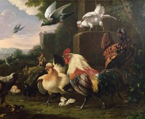 公鸡和其他鸡在风景中 作者 Melchior de Hondecoeter