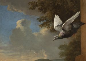 动物园》的细节，约1680年（布面油画 作者 Melchior de Hondecoeter