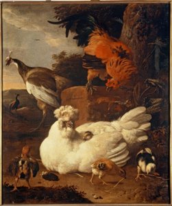 M. de Hondecoeter，有小鸡的婴儿 作者 Melchior de Hondecoeter