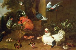 Parkland的家禽 作者 Melchior de Hondecoeter