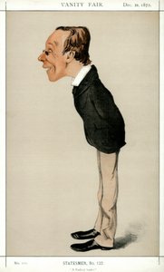 激进领导人，亨利·福塞特议员，英国政治家和经济学家，1872年。