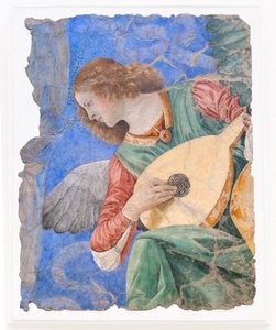 音乐制作天使，1480 年左右（壁画） 作者 Melozzo da Forli