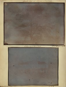 Edgeworthstown的山毛榉树 作者 迈克尔·帕克纳姆·埃奇沃思