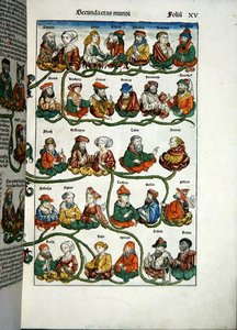 家谱树，摘自哈特曼-斯切德尔（1440-1514）的 "Liber Chronicarum"，1493年（彩色木刻）。 作者 Michael 和 Pleydenwurff W. Wolgemuth