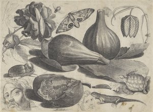 附有绘画示例的学习单：头像、动物和水果
绘画范例（系列名称） 作者 阿德里亚恩·科拉特