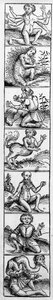 Hartmann Schedel撰写的“纽伦堡纪事报”中的怪物，出版于1493年
