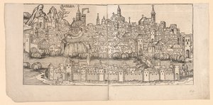 纽伦堡纪事：巴塞尔地形图，瑞士，1493年。
