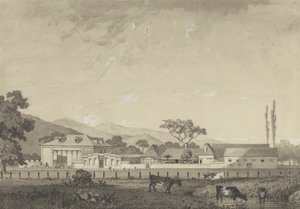 塔卡里瓜奥兰治格罗夫庄园住宅
