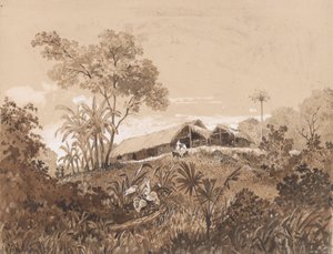 小屋，塔玛纳山