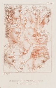 男性和女性头部研究（蚀刻版 作者 米开朗基罗（后）布奥纳罗蒂