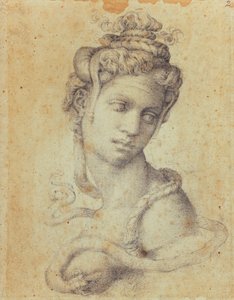 埃及艳后 作者 米开朗基罗（Michelangelo Buonarroti）