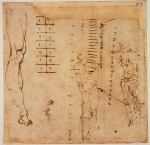 图表研究 作者 米开朗基罗（Michelangelo Buonarroti）