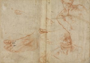 西斯廷天花板的数字研究 作者 米开朗基罗（Michelangelo Buonarroti）