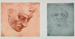 一张脸的正面图，一张在轮廓上;米开朗基罗的绘画。 Casa Buonarroti，佛罗伦萨 作者 米开朗基罗（Michelangelo Buonarroti）