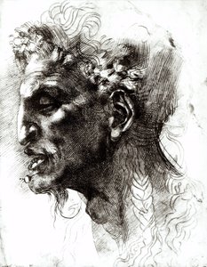 萨特的头 作者 米开朗基罗（Michelangelo Buonarroti）