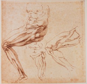 腿部研究 作者 米开朗基罗（Michelangelo Buonarroti）