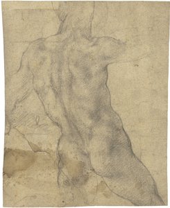 男性裸体 作者 米开朗基罗（Michelangelo Buonarroti）