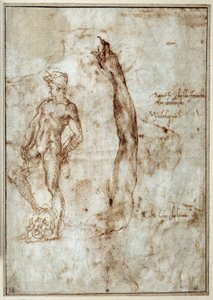 裸体学习。 Michelangelo Buonarroti dit Michelangelo (Michelangelo or Michel Ange 作者 米开朗基罗（Michelangelo Buonarroti）