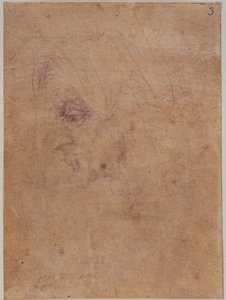 老妇人简介 作者 米开朗基罗（Michelangelo Buonarroti）