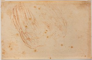 鹰的素描 作者 米开朗基罗（Michelangelo Buonarroti）