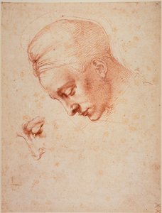 对 "勒达 "头像的研究 作者 米开朗基罗（Michelangelo Buonarroti）