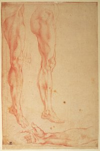 腿和手臂的研究（纸上的红色粉笔） 作者 米开朗基罗（Michelangelo Buonarroti）