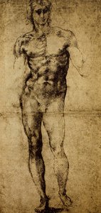 研究男性裸体，米开朗基罗·博纳罗蒂（1475-1564），绘画，巴黎，卢浮宫博物馆