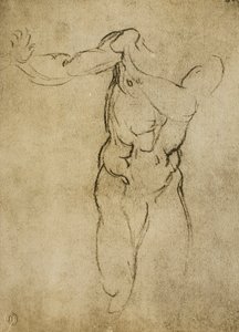 研究由米开朗基罗绘制的男性半身像。 Casa Buonarroti，佛罗伦萨 作者 米开朗基罗（Michelangelo Buonarroti）
