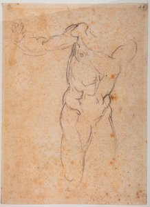 西斯廷礼拜堂亚当 "被驱逐出帕迪索 "的研究 作者 米开朗基罗（Michelangelo Buonarroti）