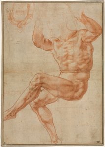 先知丹尼尔头上的裸体青年》研究（右图） 作者 米开朗基罗（Michelangelo Buonarroti）